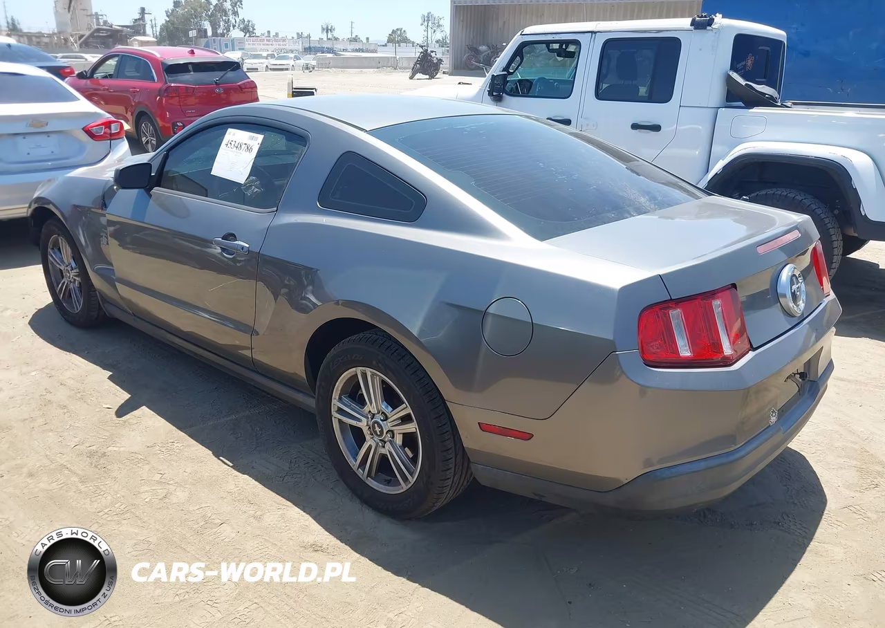 2010 Ford Mustang V6 VIN:1ZVBP8AN9A5123794 - 3