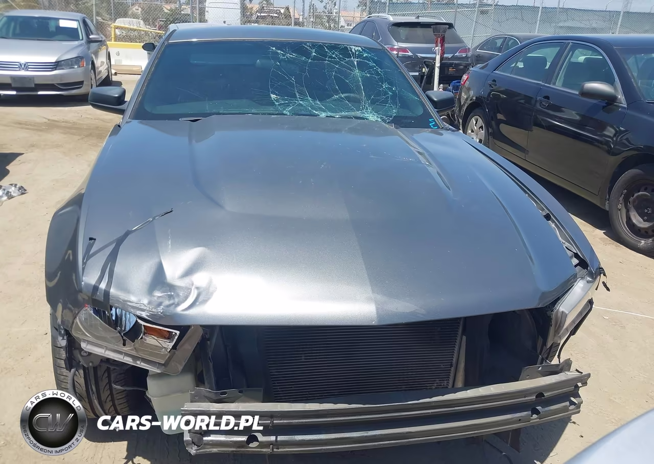 2010 Ford Mustang V6 VIN:1ZVBP8AN9A5123794 - 6