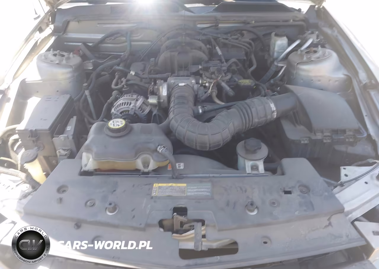 2009 Ford Mustang V6-V6 Premium VIN:1ZVHT80N295106001 - 10