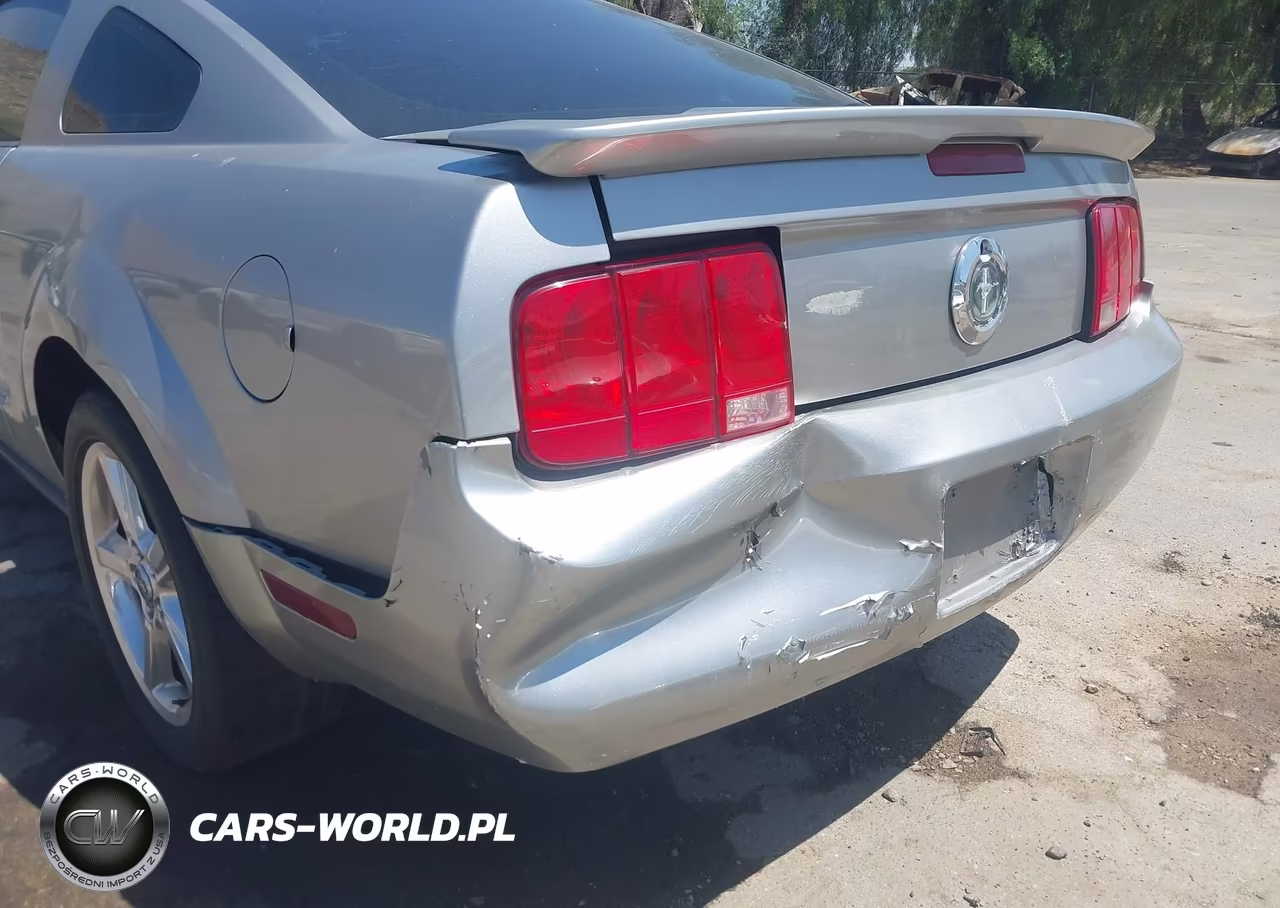 2009 Ford Mustang V6-V6 Premium VIN:1ZVHT80N295106001 - 12
