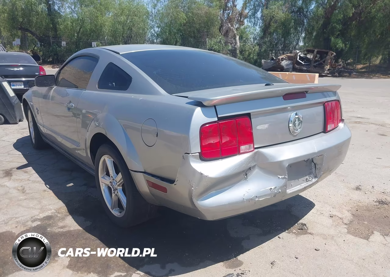 2009 Ford Mustang V6-V6 Premium VIN:1ZVHT80N295106001 - 3
