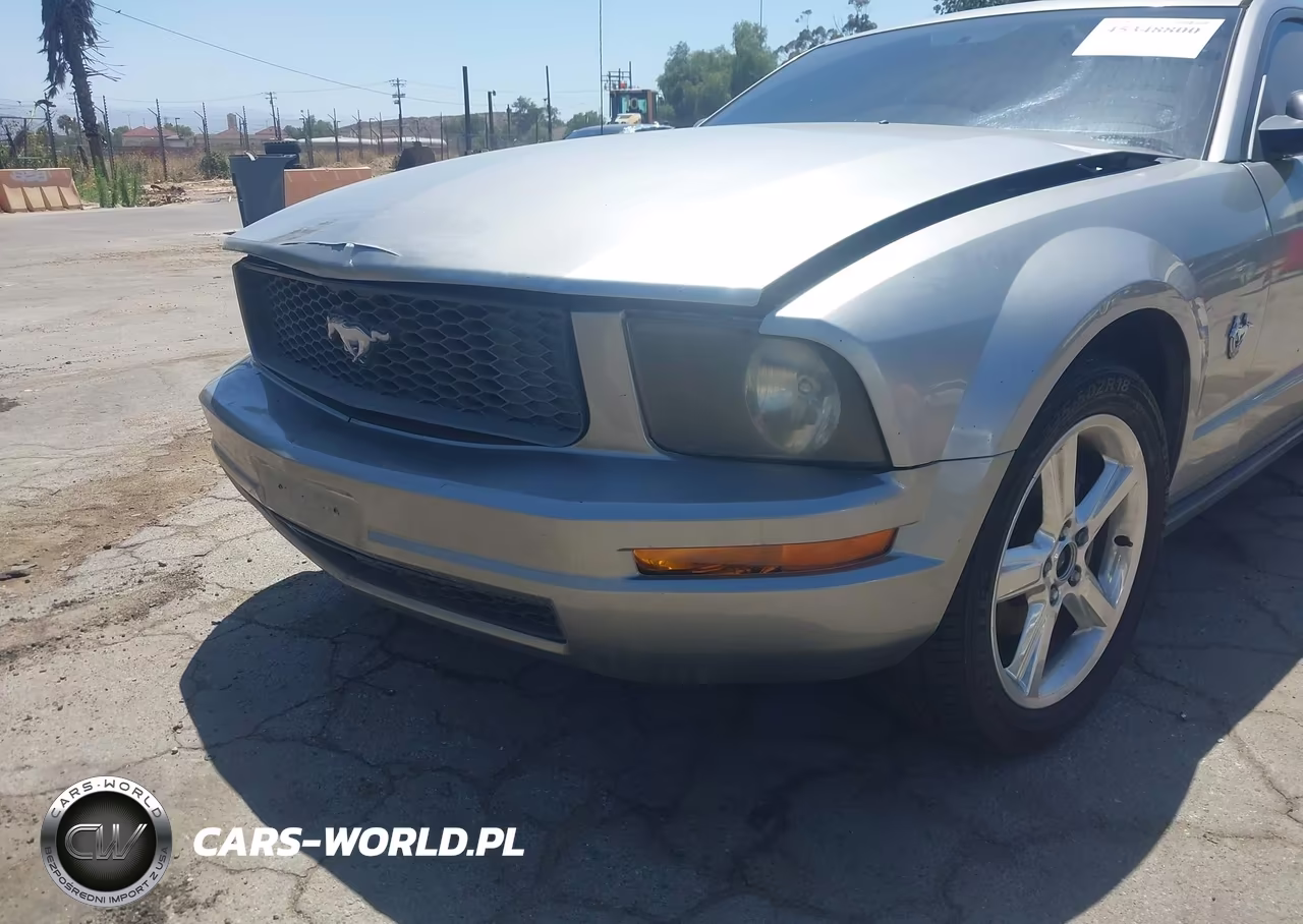 2009 Ford Mustang V6-V6 Premium VIN:1ZVHT80N295106001 - 6