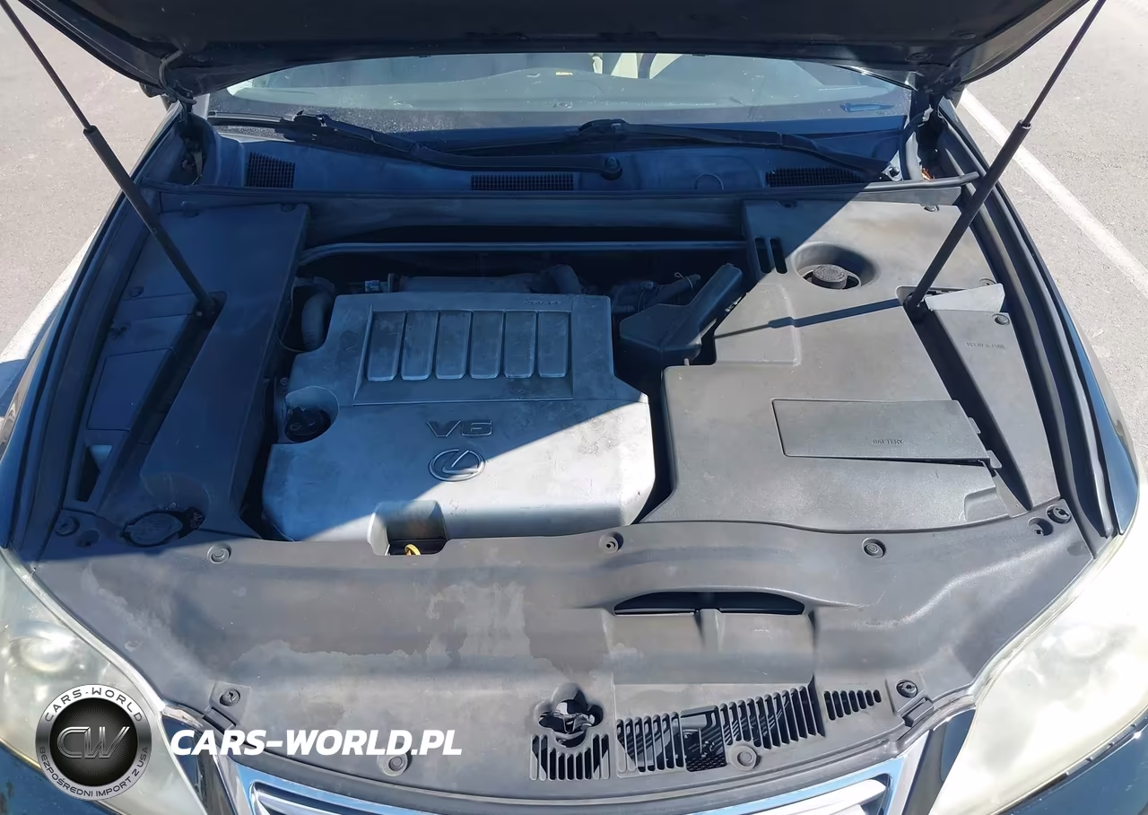 2010 Lexus Es 350 VIN:JTHBK1EGXA2402627 - 10