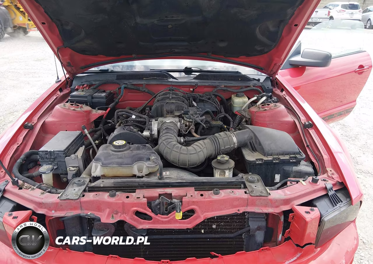 2005 Ford Mustang V6 Deluxe-V6 Premium VIN:1ZVFT80N155126127 - 10