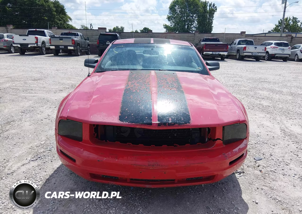 2005 Ford Mustang V6 Deluxe-V6 Premium VIN:1ZVFT80N155126127 - 12