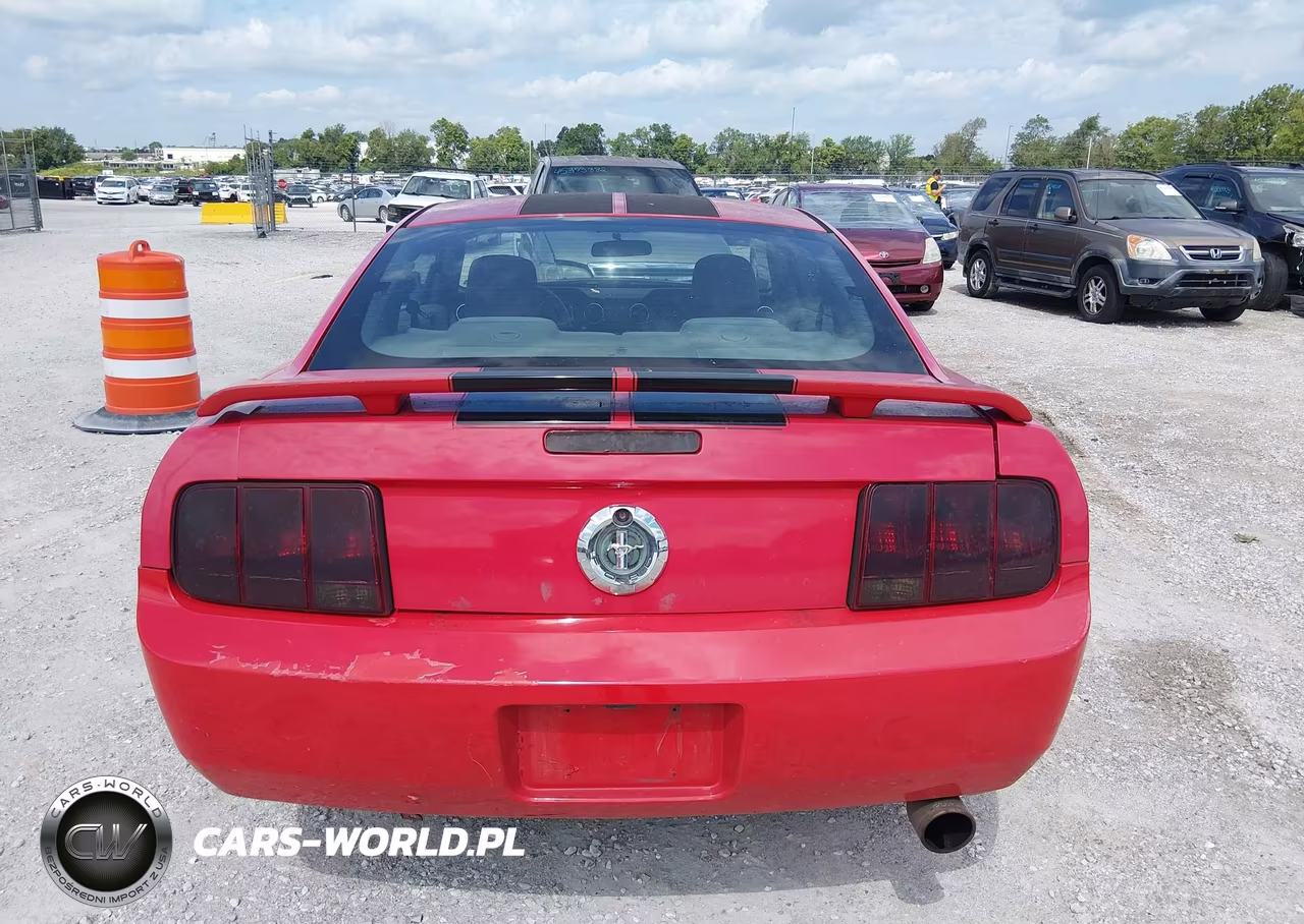 2005 Ford Mustang V6 Deluxe-V6 Premium VIN:1ZVFT80N155126127 - 16