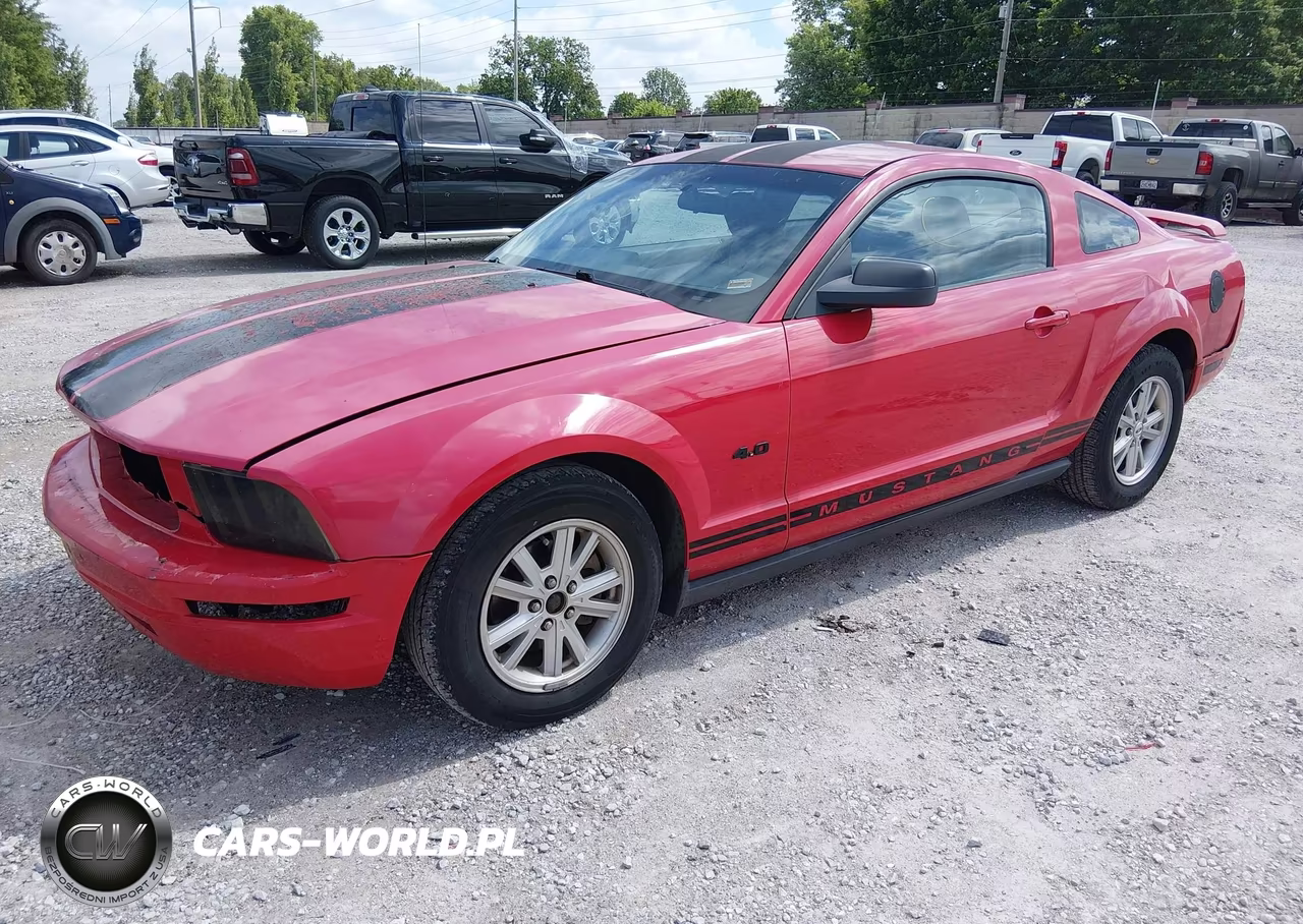 2005 Ford Mustang V6 Deluxe-V6 Premium VIN:1ZVFT80N155126127 - 2