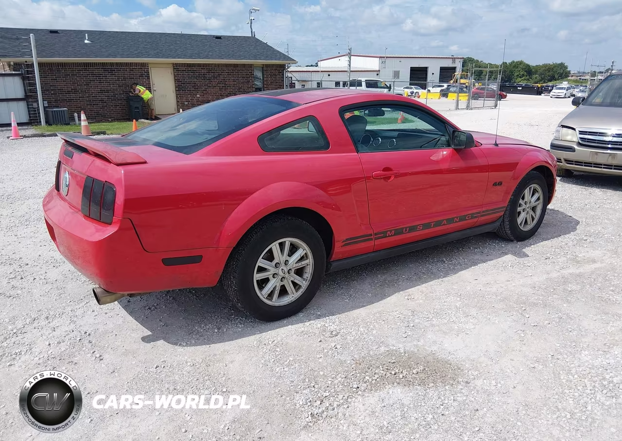 2005 Ford Mustang V6 Deluxe-V6 Premium VIN:1ZVFT80N155126127 - 4