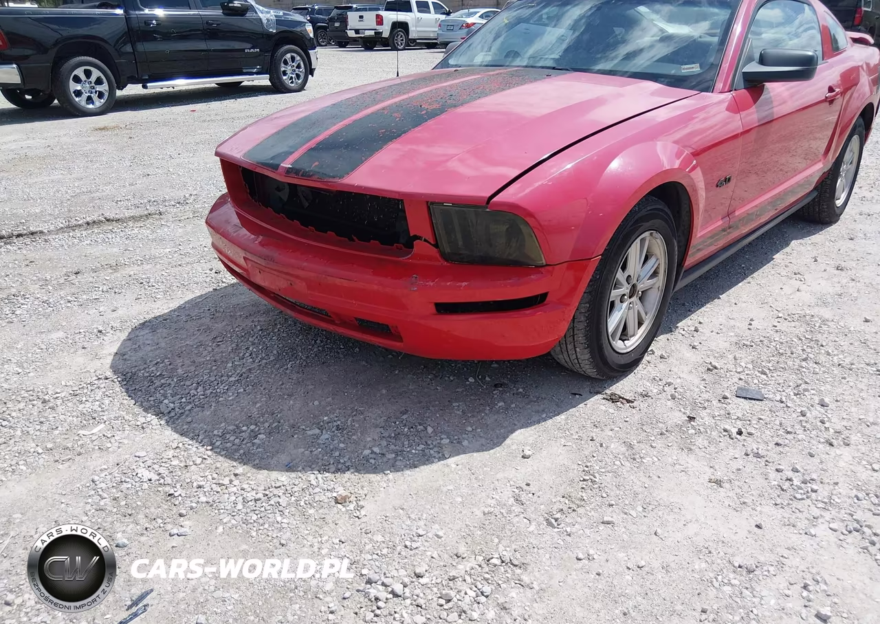 2005 Ford Mustang V6 Deluxe-V6 Premium VIN:1ZVFT80N155126127 - 6