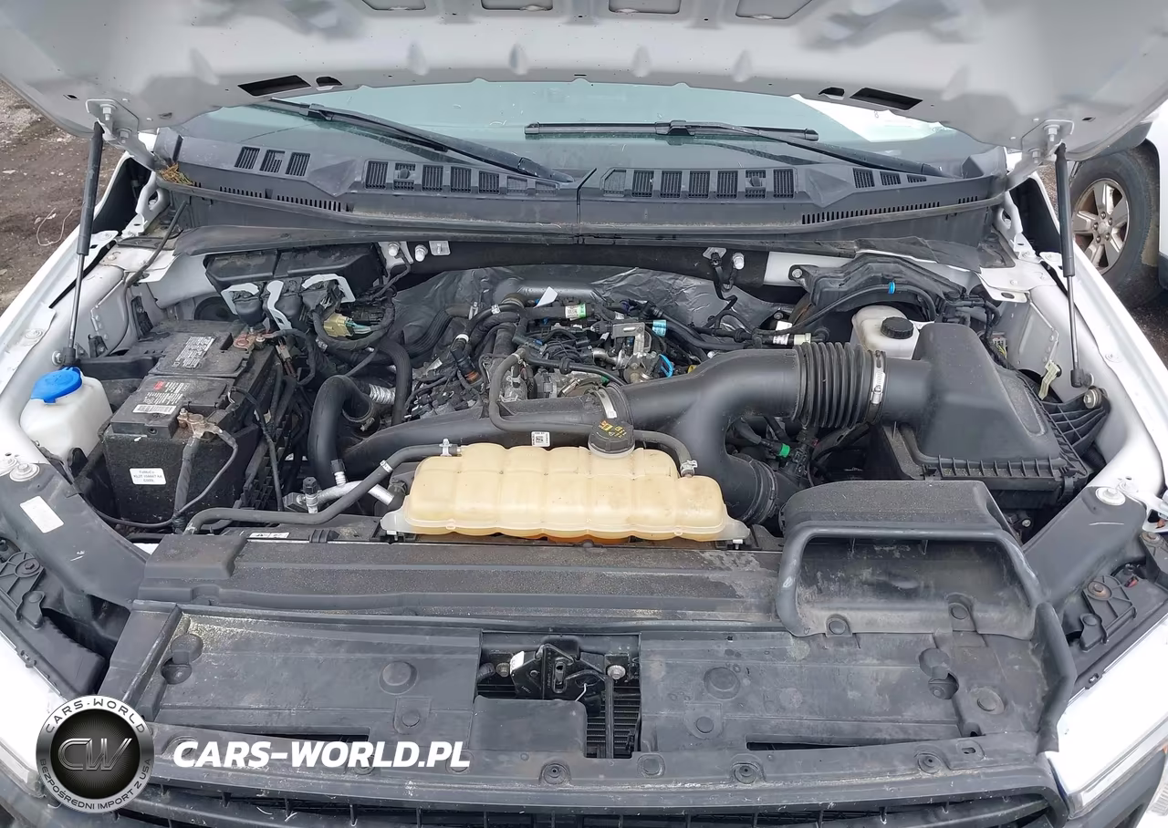 2020 Ford F-150 Xl VIN:1FTEW1EP2LFB18570 - 10