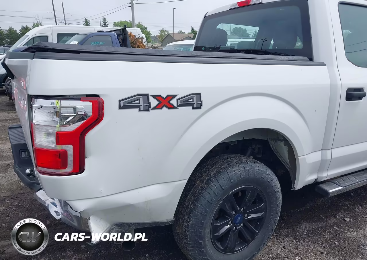 2020 Ford F-150 Xl VIN:1FTEW1EP2LFB18570 - 19