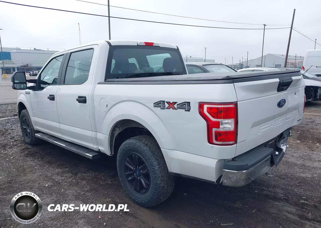 2020 Ford F-150 Xl VIN:1FTEW1EP2LFB18570 - 3