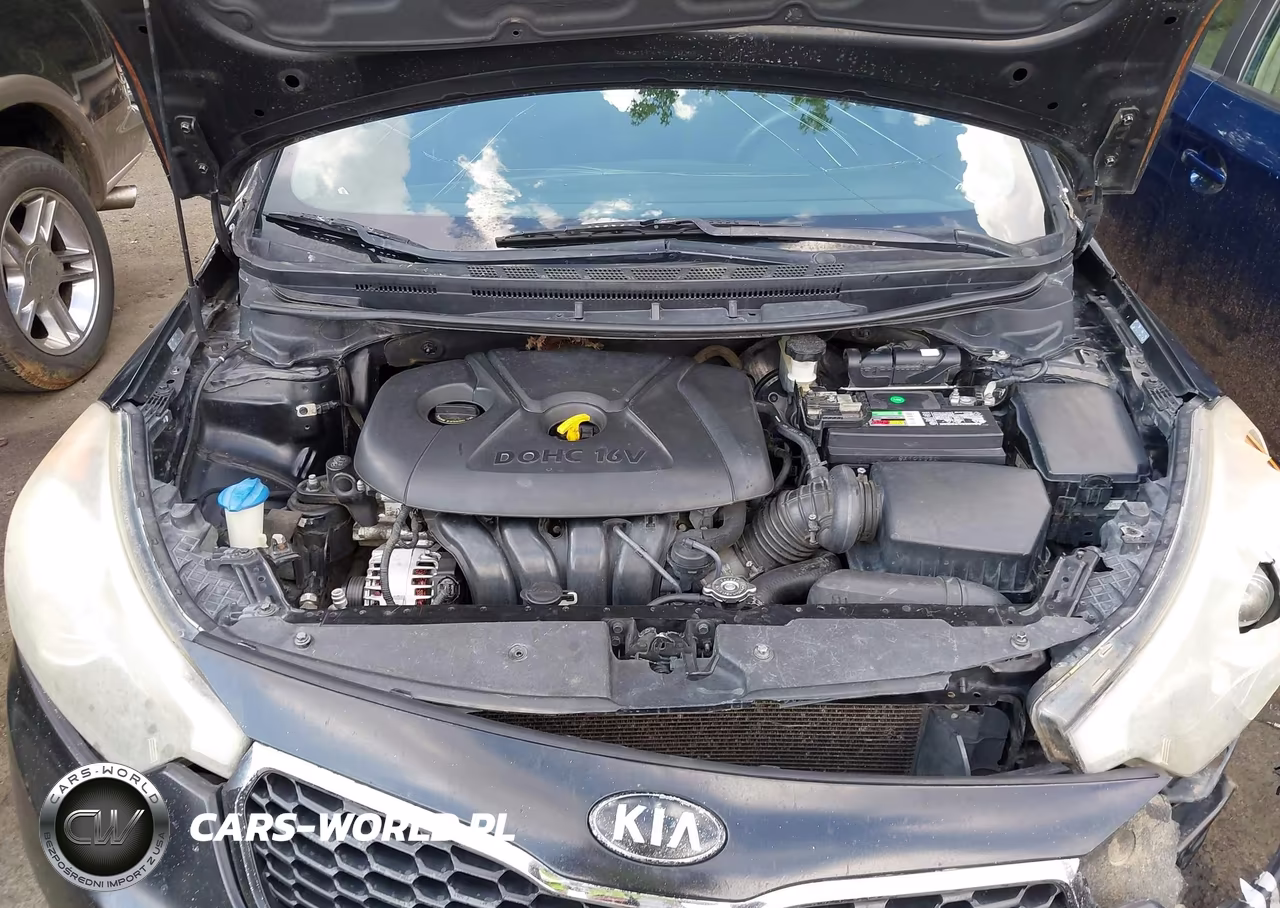 2014 Kia Forte Lx VIN:KNAFK4A69E5063085 - 10