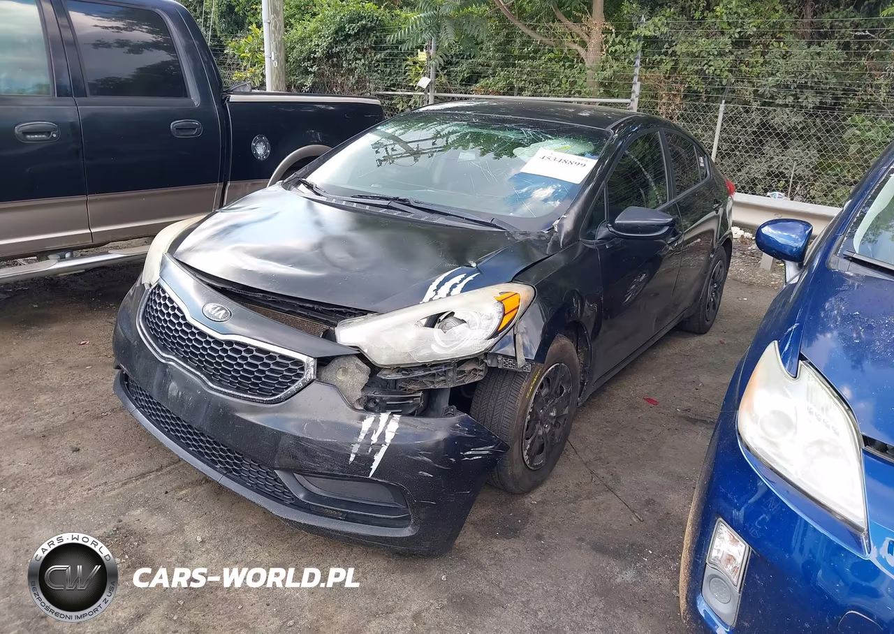 2014 Kia Forte Lx VIN:KNAFK4A69E5063085 - 2