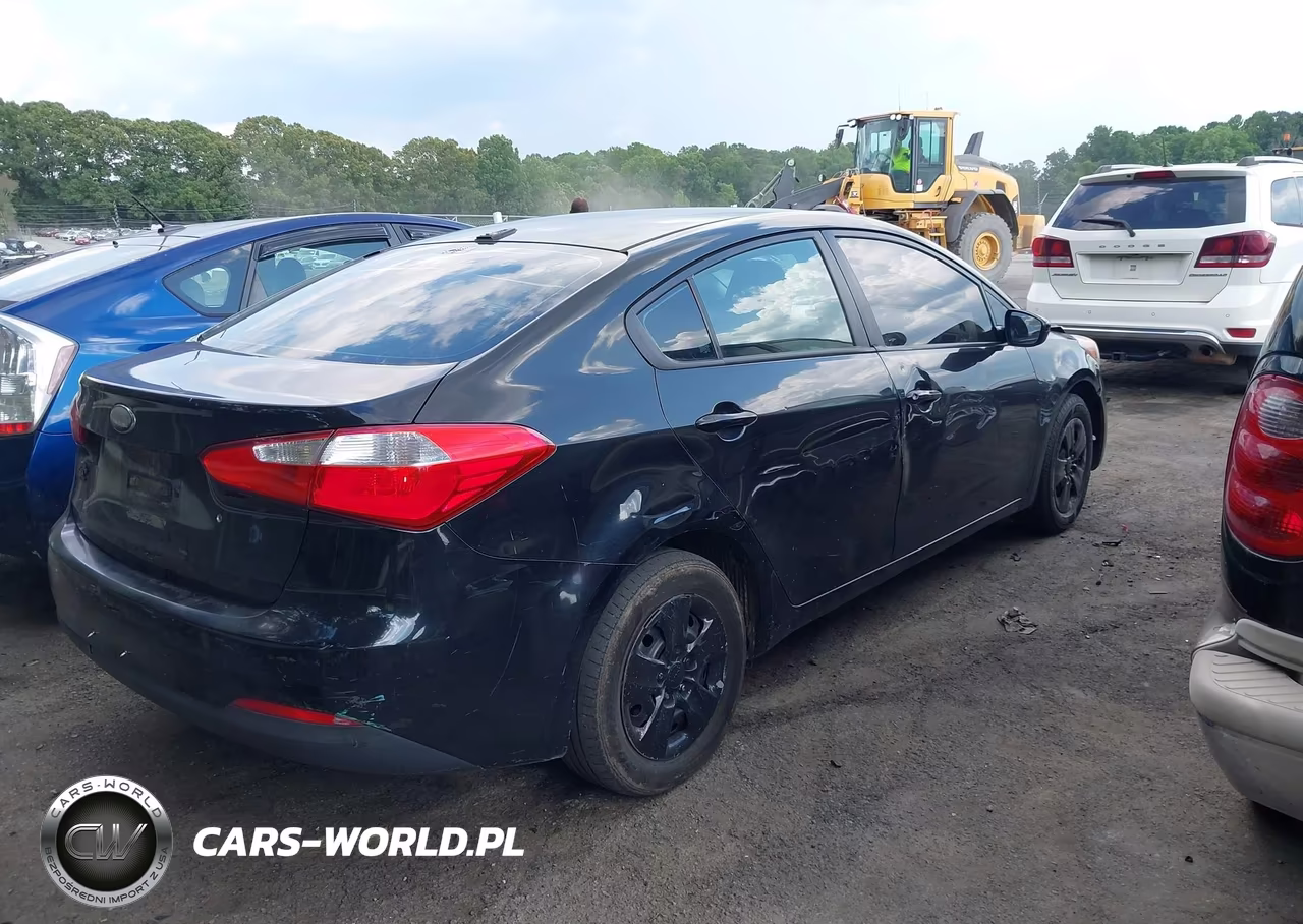 2014 Kia Forte Lx VIN:KNAFK4A69E5063085 - 4