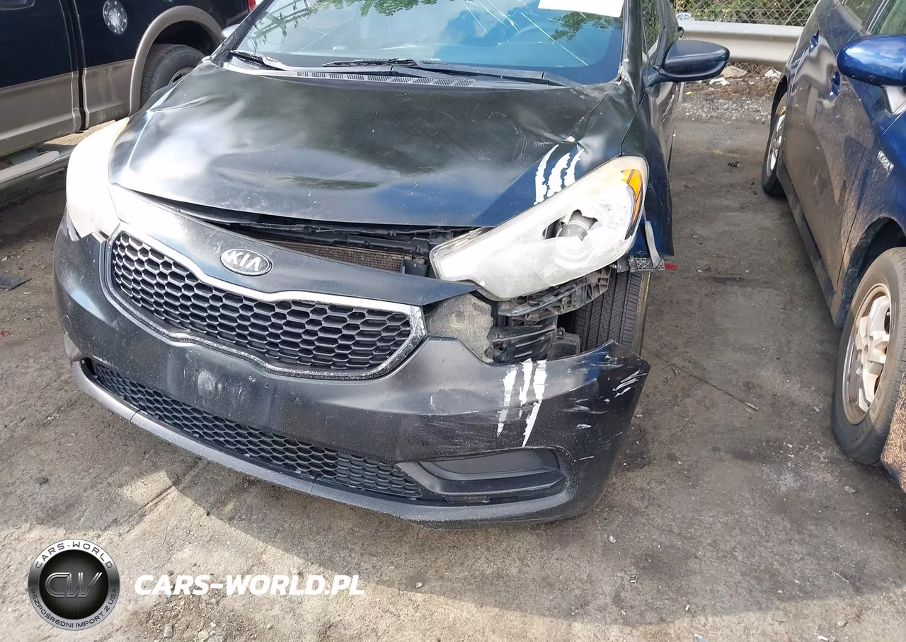 2014 Kia Forte Lx VIN:KNAFK4A69E5063085 - 6