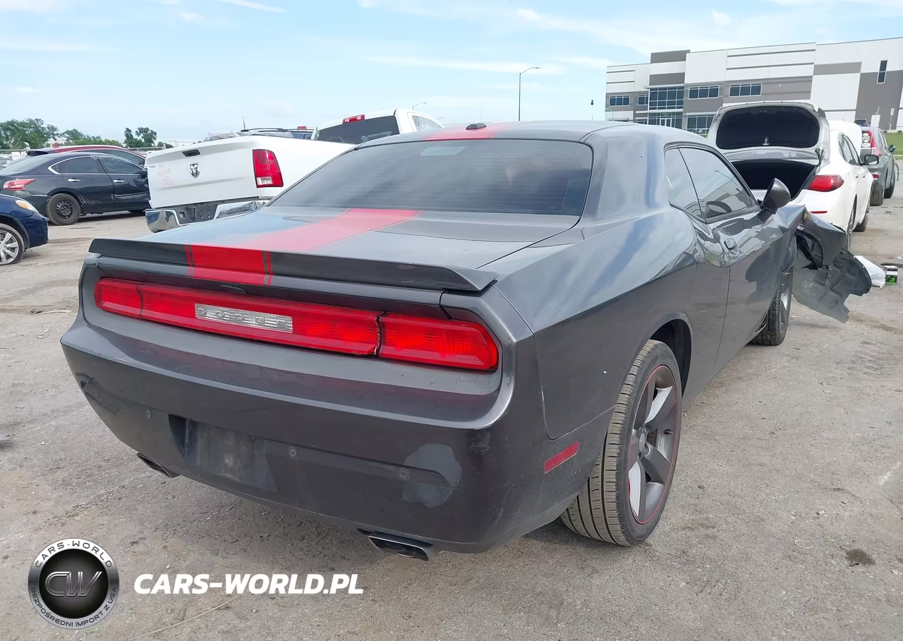 2014 Dodge Challenger Rallye Redline VIN:2C3CDYAG1EH196999 - 4