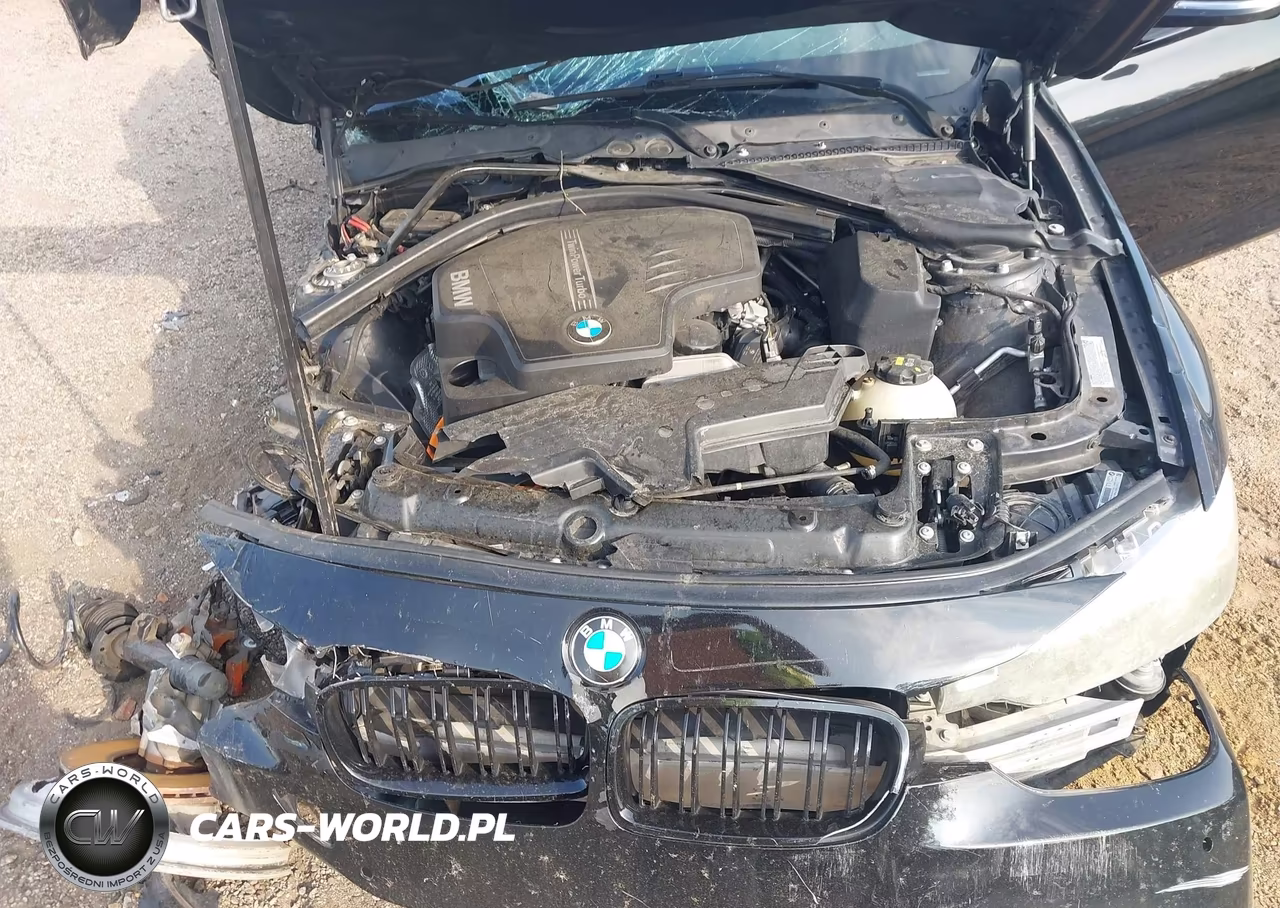 2015 BMW 320I VIN:WBA3B1G57FNT03784 - 10