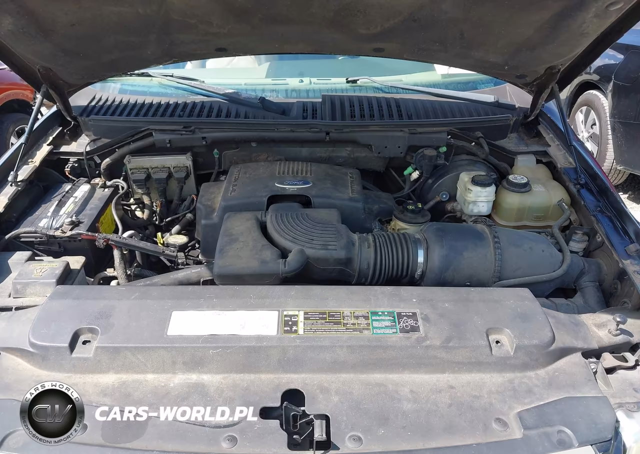 2004 Ford Expedition Eddie Bauer VIN:1FMFU18L94LB59893 - 10