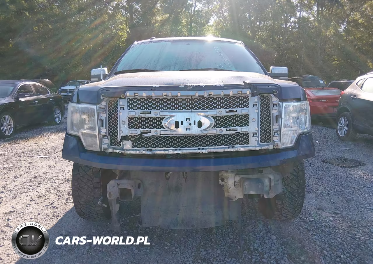 2010 Ford F-150 Fx2 Sport-Harley-Davidson-King Ranch-Lariat-Platinum-Xl-Xlt VIN:1FTFW1CV7AFA41231 - 13