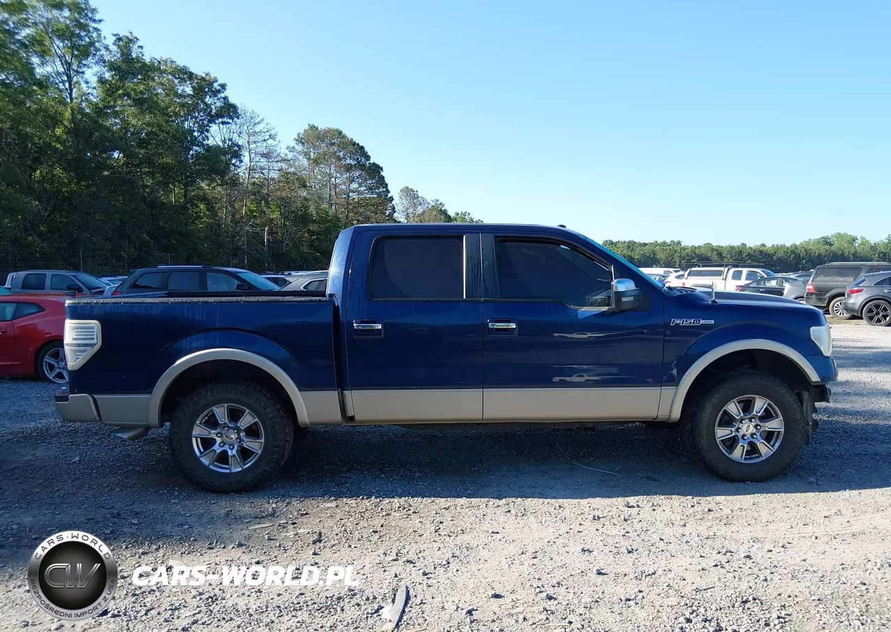 2010 Ford F-150 Fx2 Sport-Harley-Davidson-King Ranch-Lariat-Platinum-Xl-Xlt VIN:1FTFW1CV7AFA41231 - 14