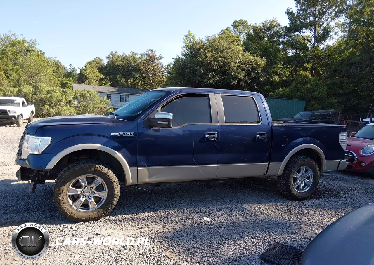2010 Ford F-150 Fx2 Sport-Harley-Davidson-King Ranch-Lariat-Platinum-Xl-Xlt VIN:1FTFW1CV7AFA41231 - 15