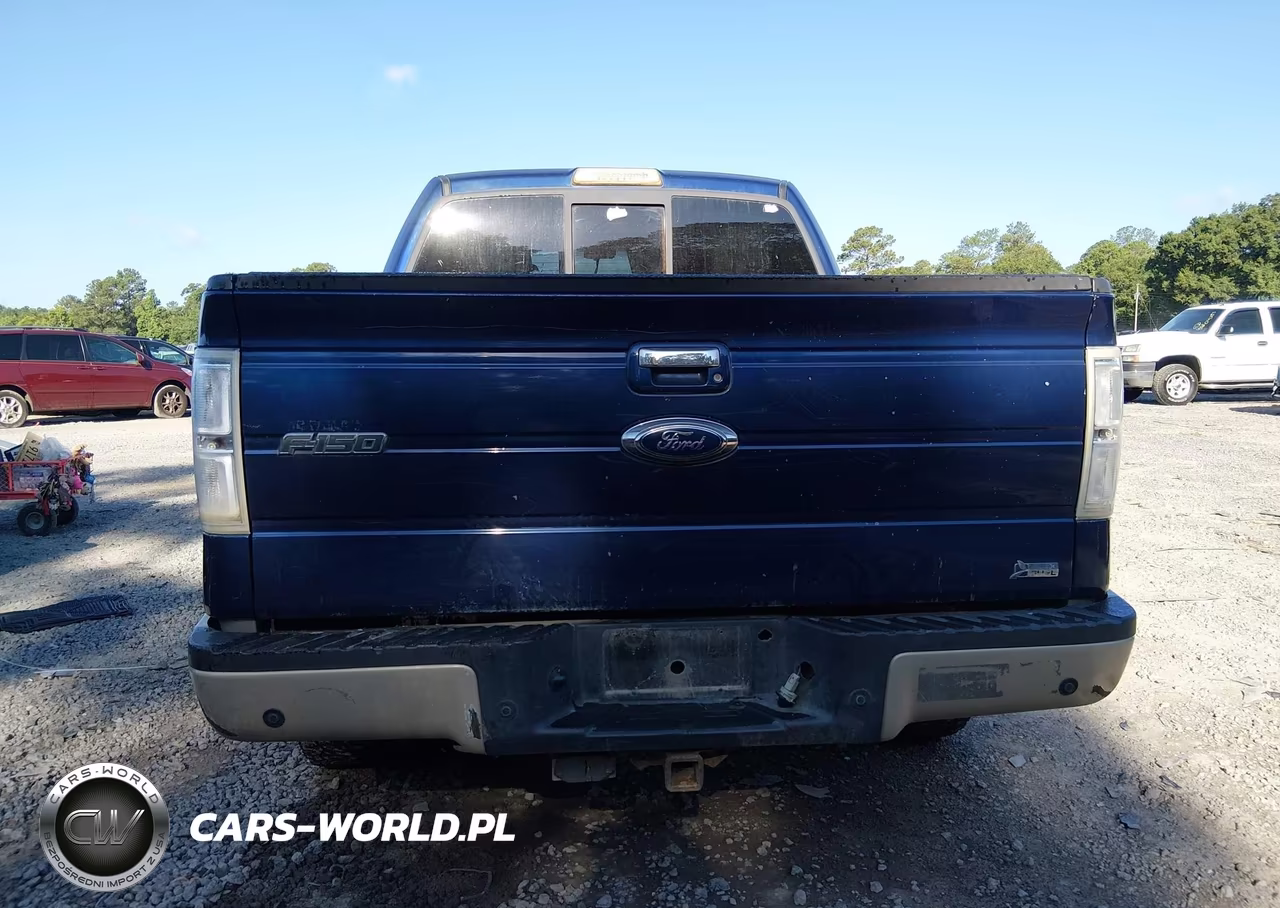 2010 Ford F-150 Fx2 Sport-Harley-Davidson-King Ranch-Lariat-Platinum-Xl-Xlt VIN:1FTFW1CV7AFA41231 - 17
