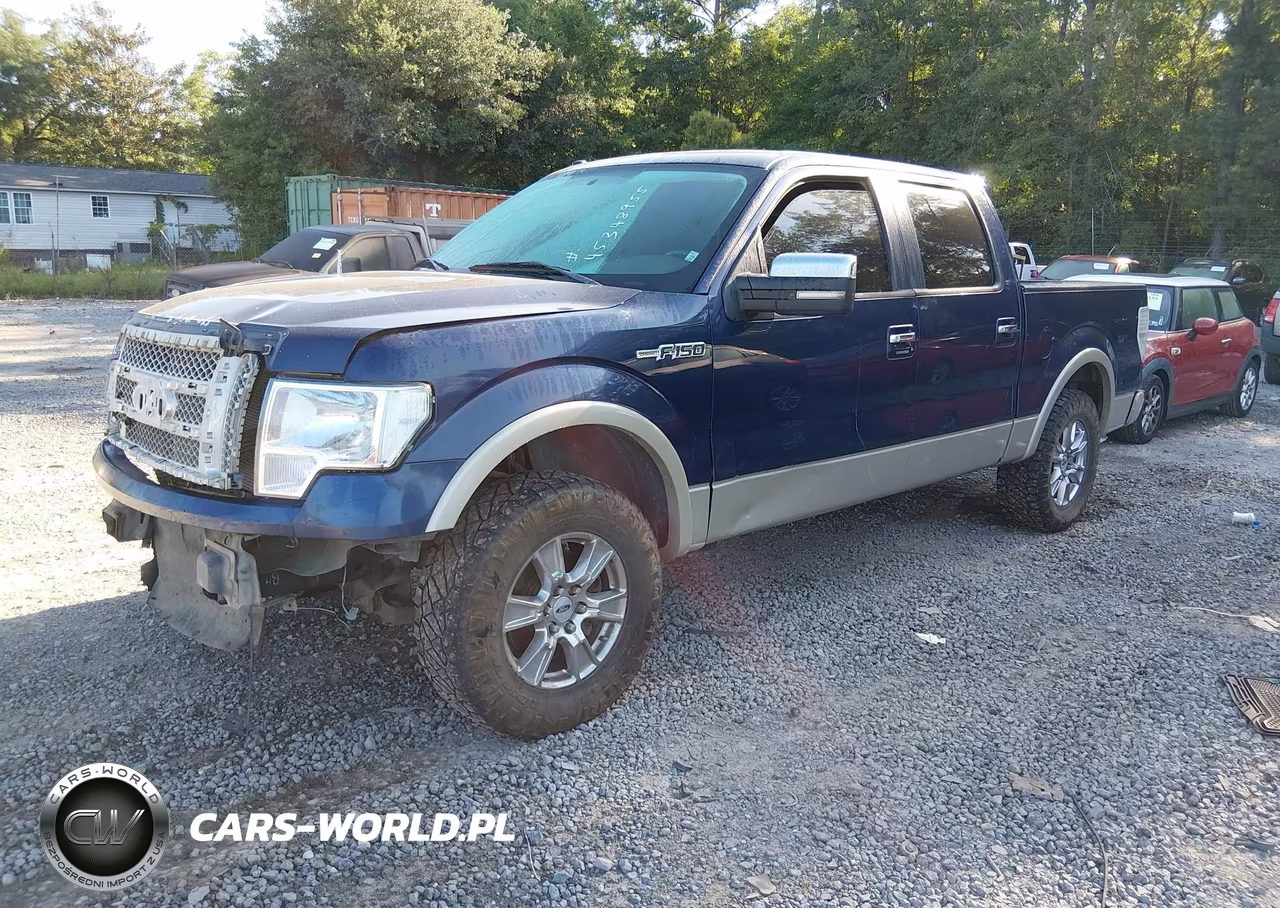 2010 Ford F-150 Fx2 Sport-Harley-Davidson-King Ranch-Lariat-Platinum-Xl-Xlt VIN:1FTFW1CV7AFA41231 - 2