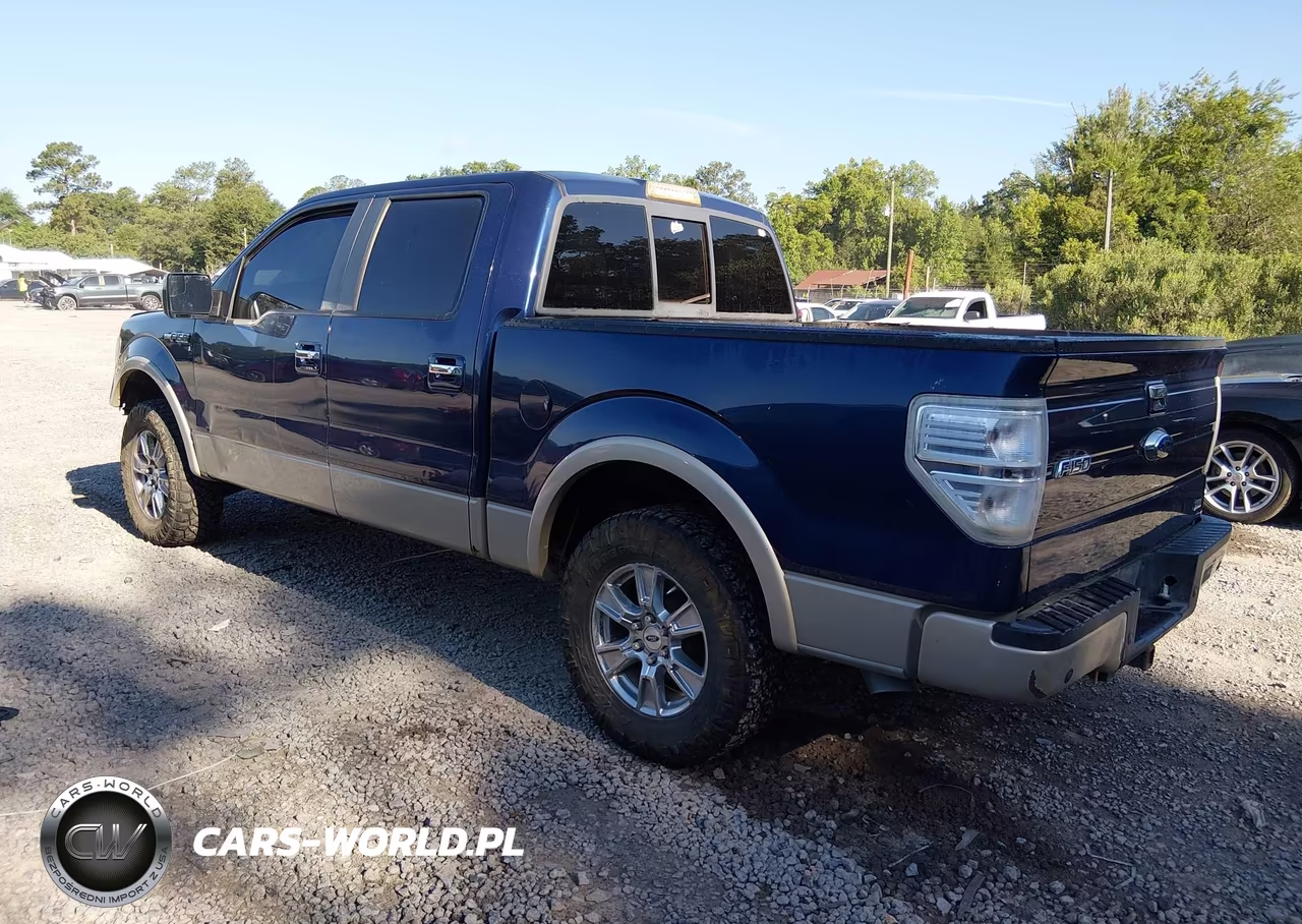 2010 Ford F-150 Fx2 Sport-Harley-Davidson-King Ranch-Lariat-Platinum-Xl-Xlt VIN:1FTFW1CV7AFA41231 - 3