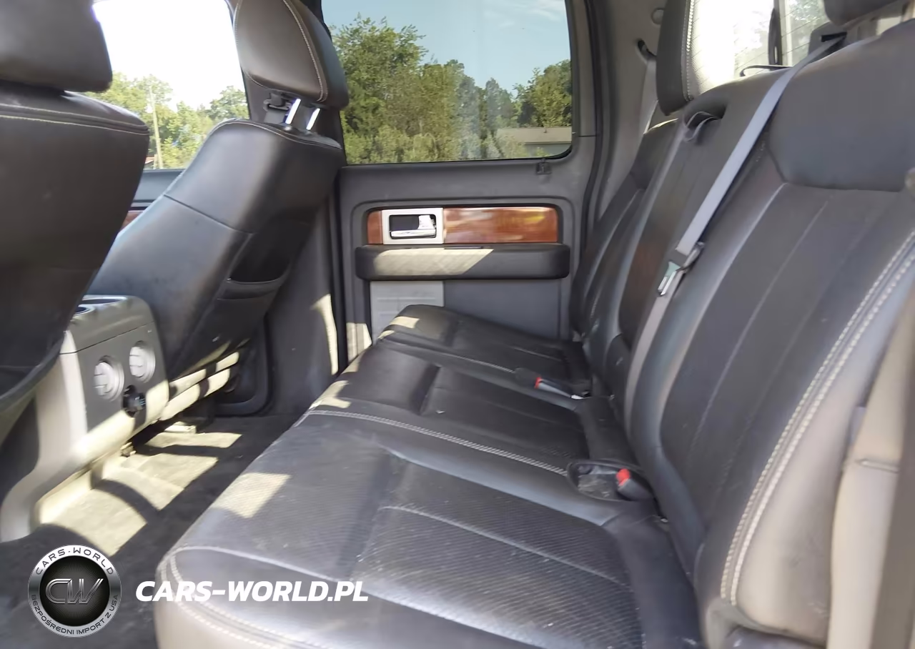 2010 Ford F-150 Fx2 Sport-Harley-Davidson-King Ranch-Lariat-Platinum-Xl-Xlt VIN:1FTFW1CV7AFA41231 - 8