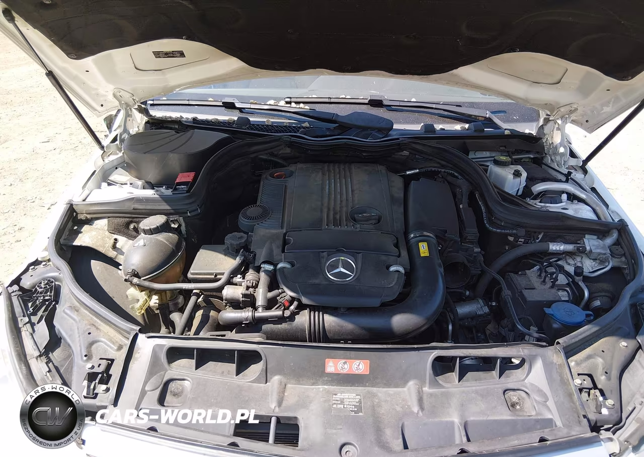 2014 Mercedes-Benz C 250 Luxury VIN:WDDGF4HB4ER310512 - 10