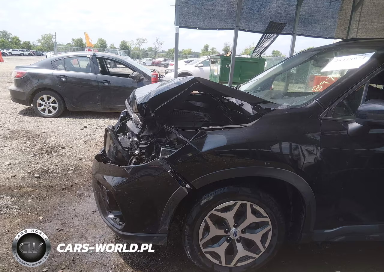 2019 Subaru Forester Premium VIN:JF2SKAGC5KH494015 - 17