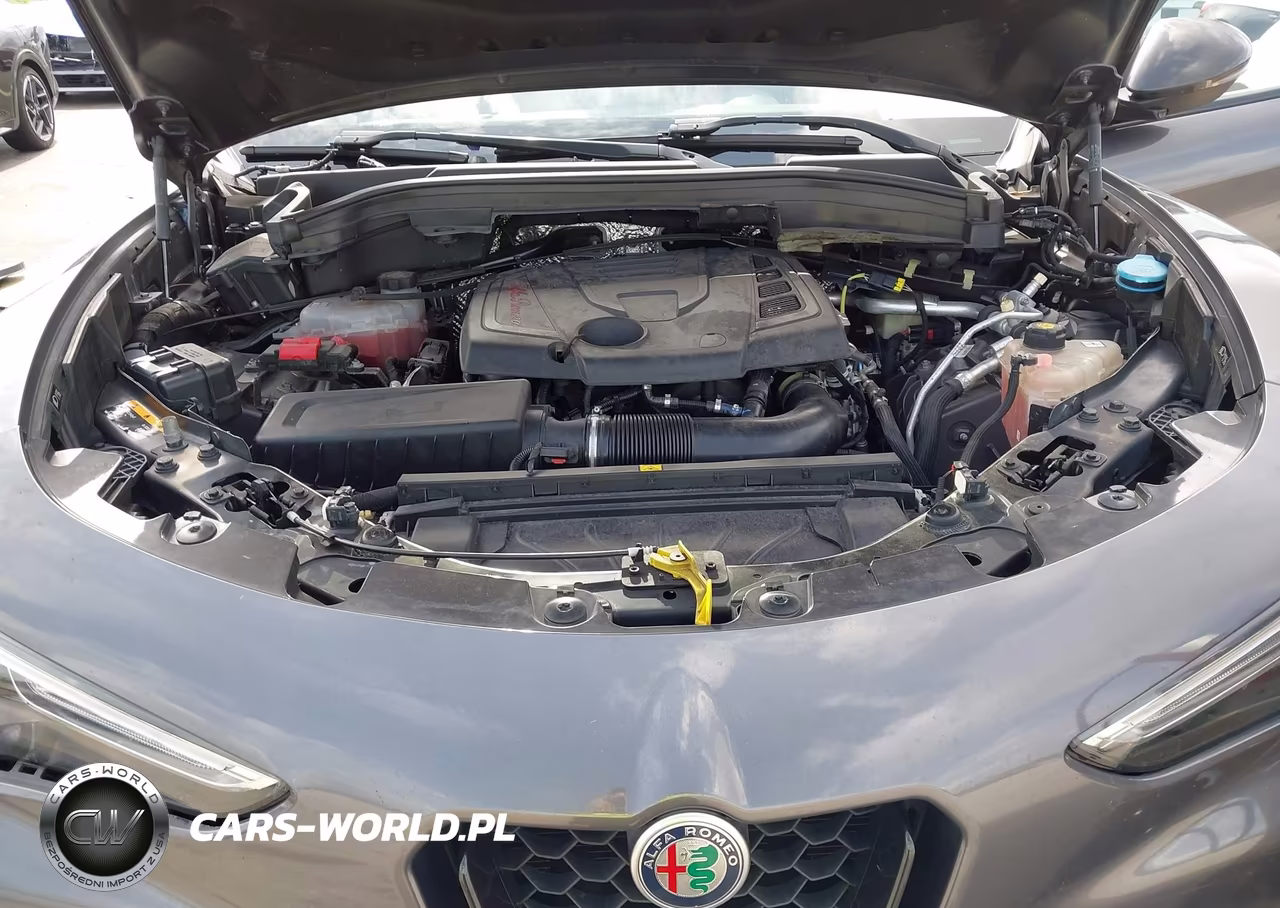 2019 Alfa Romeo Stelvio Sport Awd VIN:ZASPAKANXK7C71960 - 10