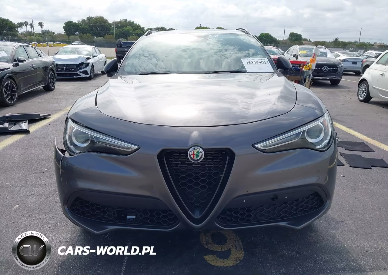 2019 Alfa Romeo Stelvio Sport Awd VIN:ZASPAKANXK7C71960 - 12