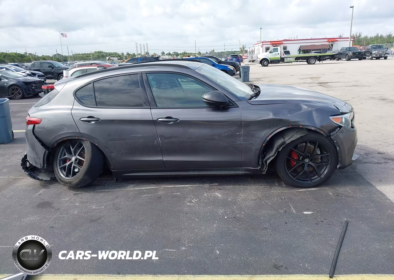 2019 Alfa Romeo Stelvio Sport Awd VIN:ZASPAKANXK7C71960 - 13