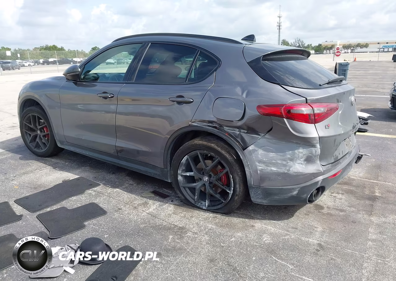 2019 Alfa Romeo Stelvio Sport Awd VIN:ZASPAKANXK7C71960 - 3