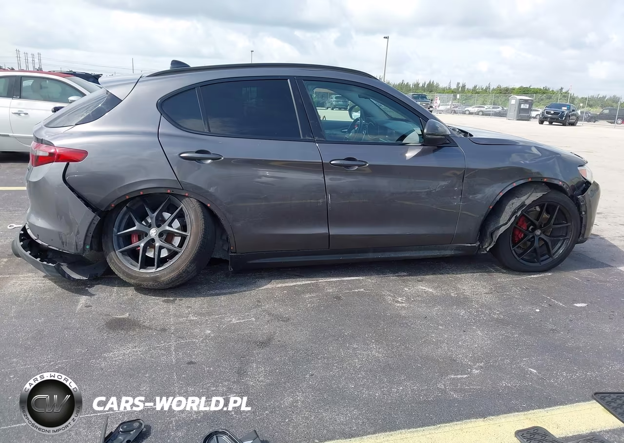 2019 Alfa Romeo Stelvio Sport Awd VIN:ZASPAKANXK7C71960 - 6