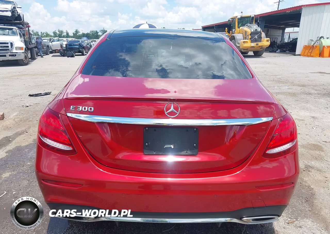 2019 Mercedes-Benz E 300 VIN:WDDZF4JB1KA544216 - 16