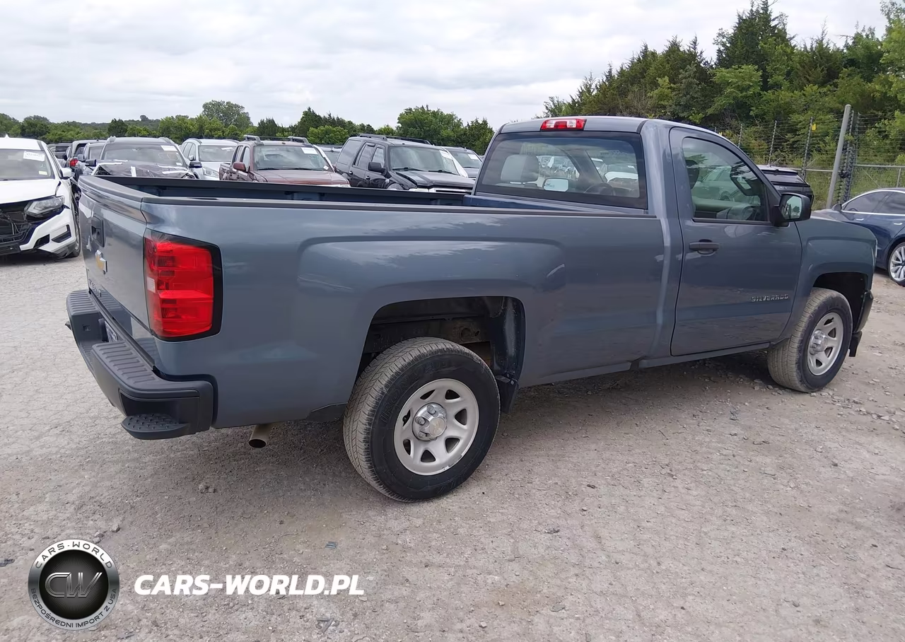 2016 Chevrolet Silverado 1500 Work Truck VIN:1GCNCNEH6GZ262894 - 4
