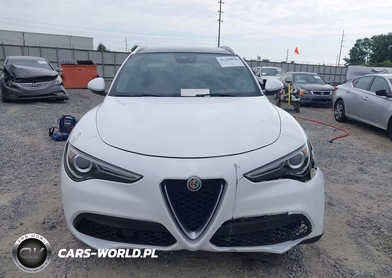 2019 Alfa Romeo Stelvio Ti Lusso Awd VIN:ZASPAKBN4K7C45546 - 11