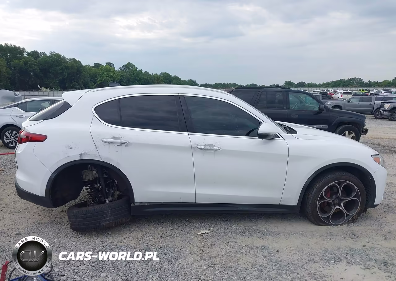 2019 Alfa Romeo Stelvio Ti Lusso Awd VIN:ZASPAKBN4K7C45546 - 12