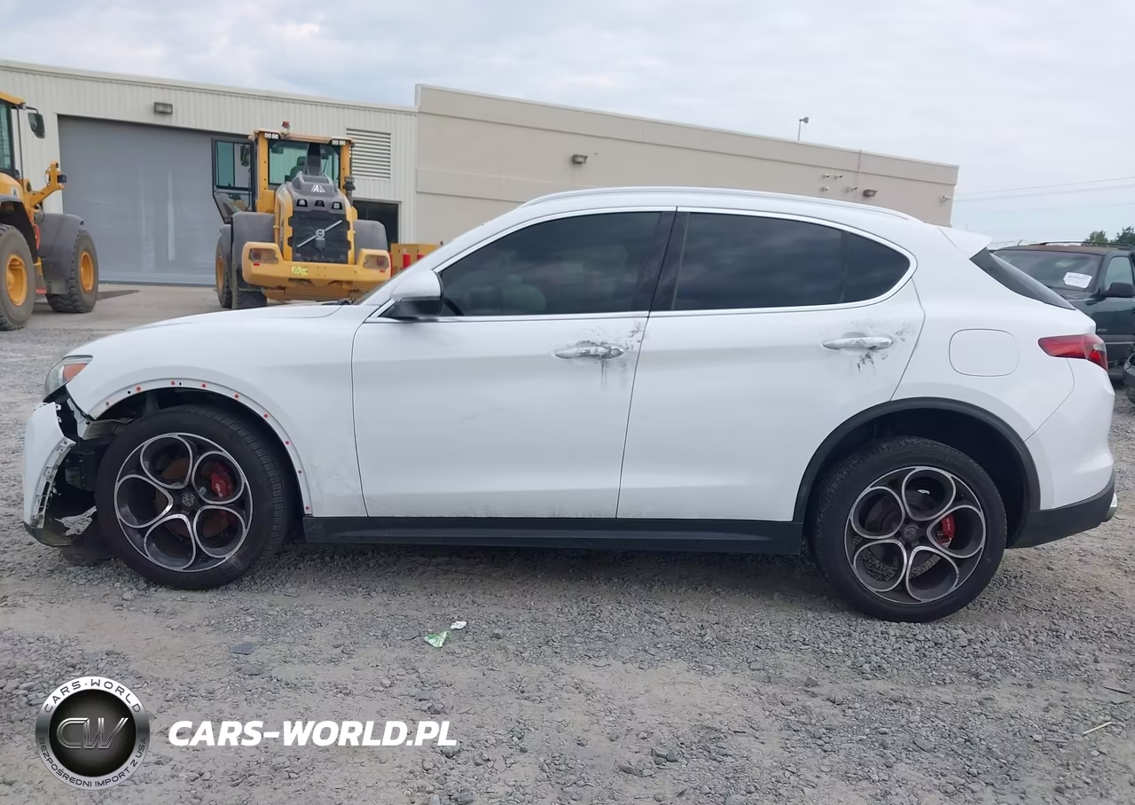 2019 Alfa Romeo Stelvio Ti Lusso Awd VIN:ZASPAKBN4K7C45546 - 13
