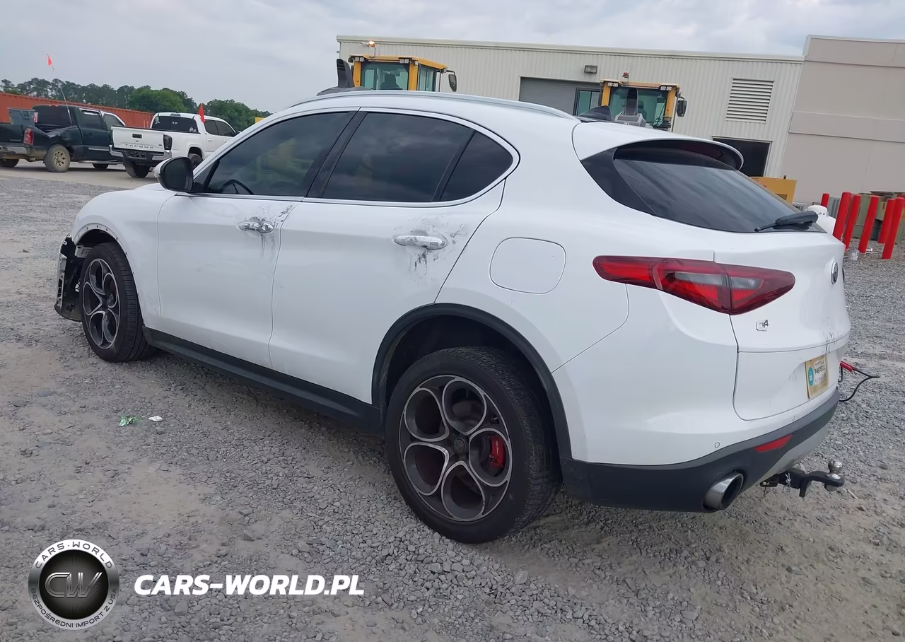 2019 Alfa Romeo Stelvio Ti Lusso Awd VIN:ZASPAKBN4K7C45546 - 3