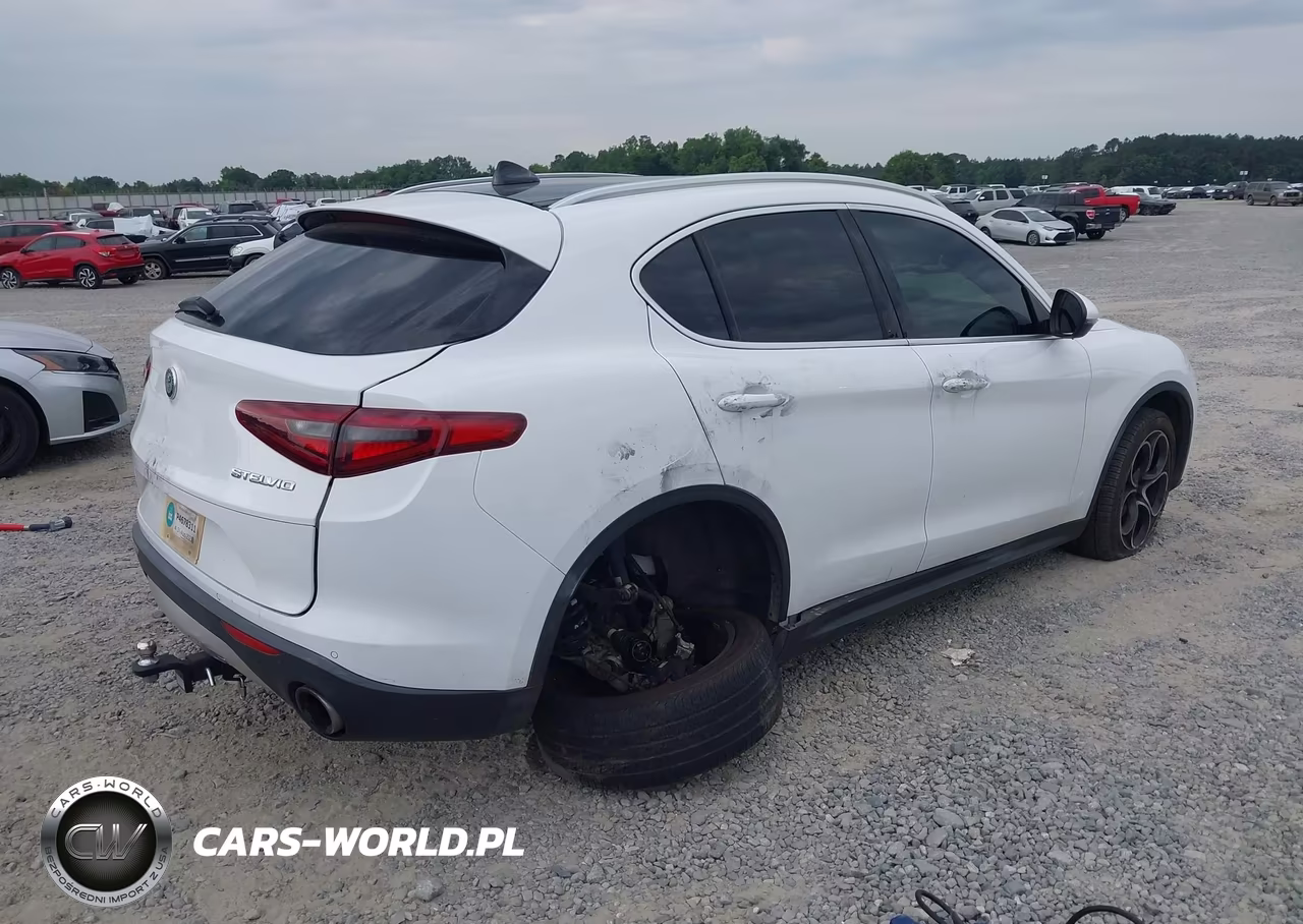 2019 Alfa Romeo Stelvio Ti Lusso Awd VIN:ZASPAKBN4K7C45546 - 4