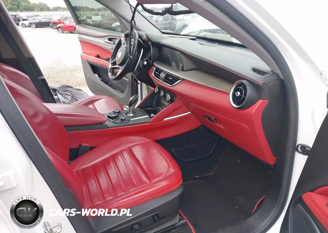 2019 Alfa Romeo Stelvio Ti Lusso Awd VIN:ZASPAKBN4K7C45546 - 5