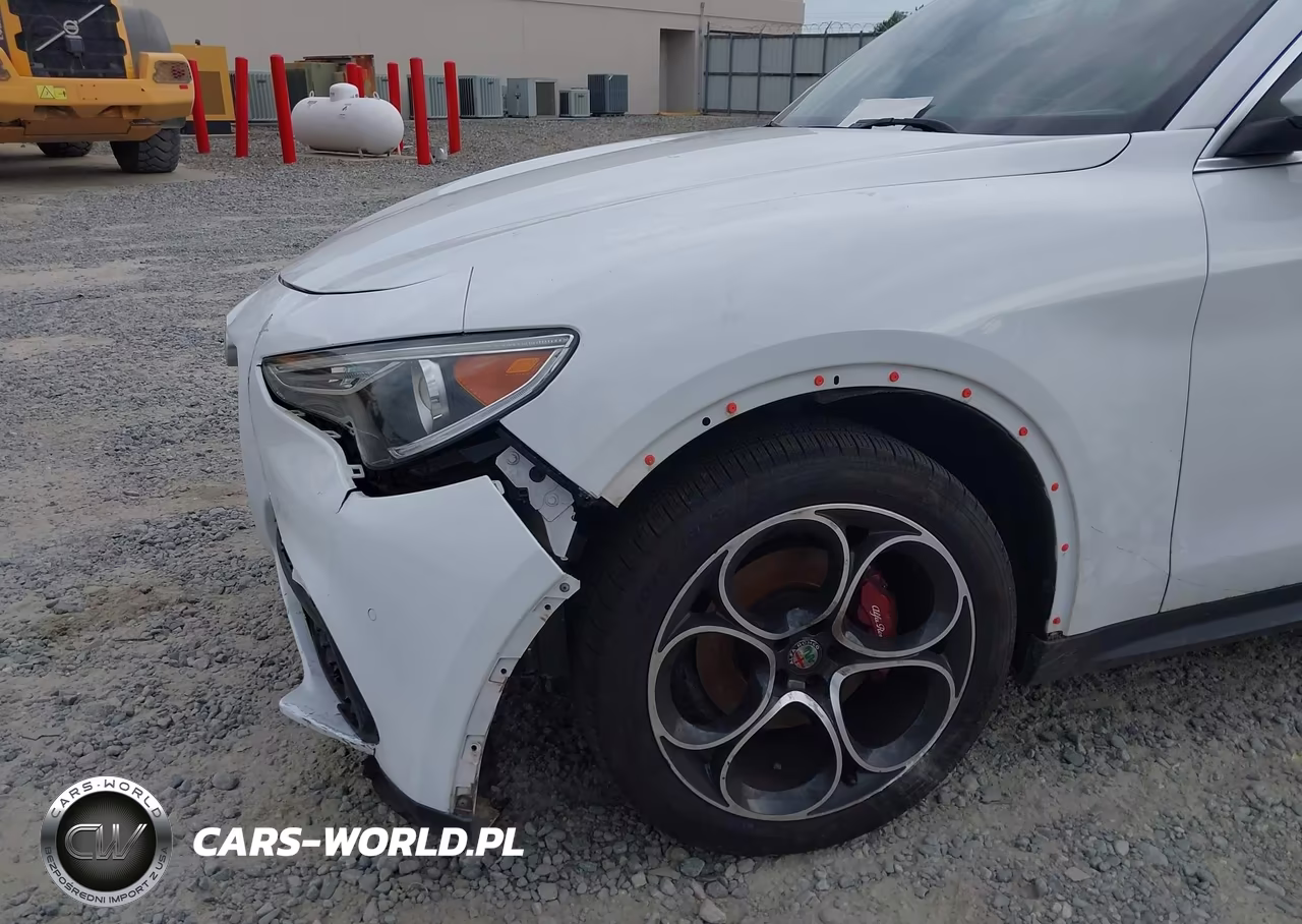 2019 Alfa Romeo Stelvio Ti Lusso Awd VIN:ZASPAKBN4K7C45546 - 6