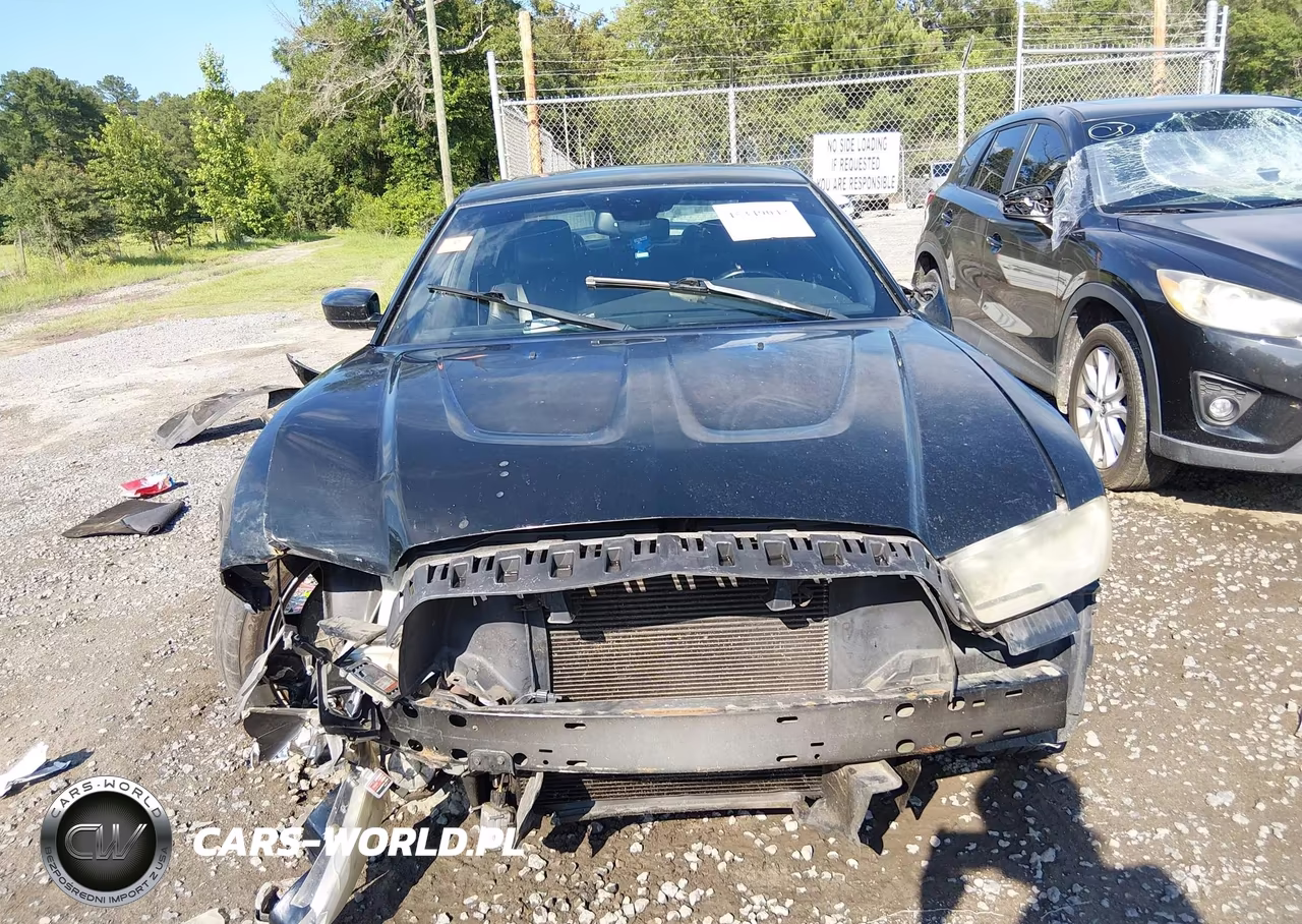 2013 Dodge Charger R-T Max VIN:2C3CDXCT0DH630042 - 13