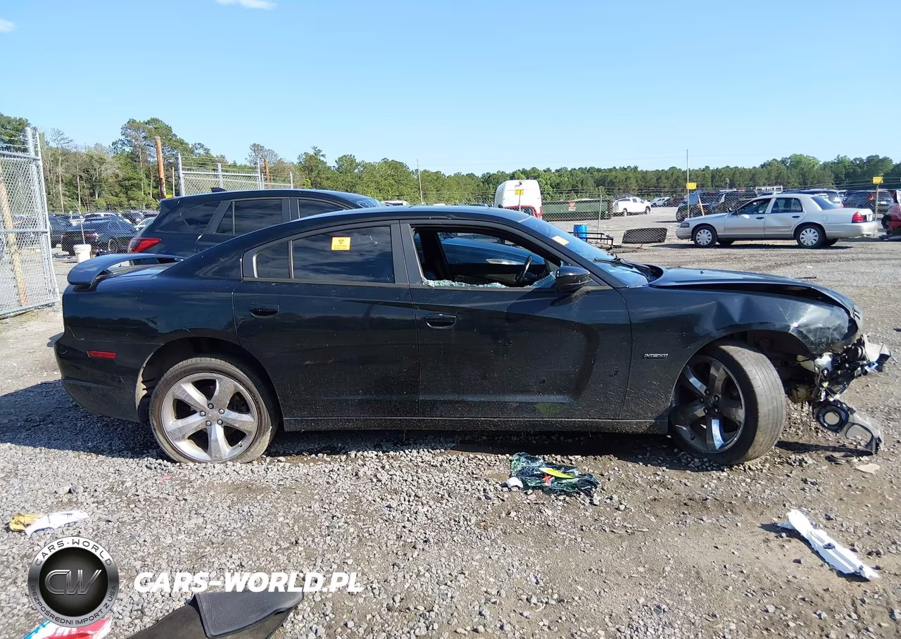 2013 Dodge Charger R-T Max VIN:2C3CDXCT0DH630042 - 14