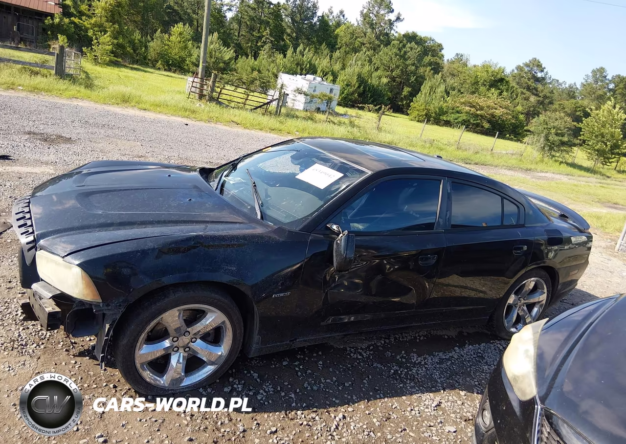 2013 Dodge Charger R-T Max VIN:2C3CDXCT0DH630042 - 15