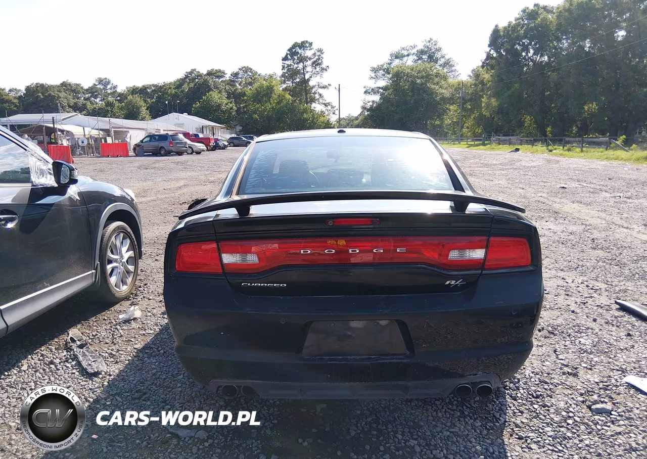 2013 Dodge Charger R-T Max VIN:2C3CDXCT0DH630042 - 17